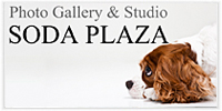 株式会社ソーダプラザ　 SODA PLAZA Co., Ltd.