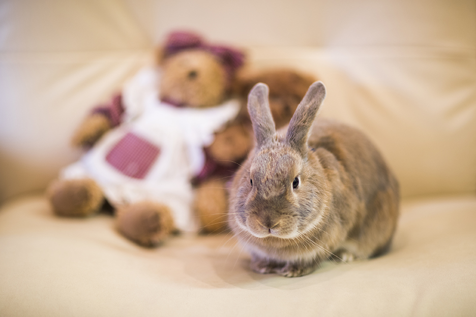 web_dp_0041