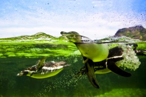 心の変化と写真の風合い