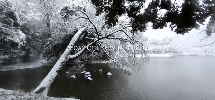 雪の日　” A day of snow in Tokyo “